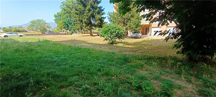 Vendita Appartamento Pontecorvo  #305 n.17