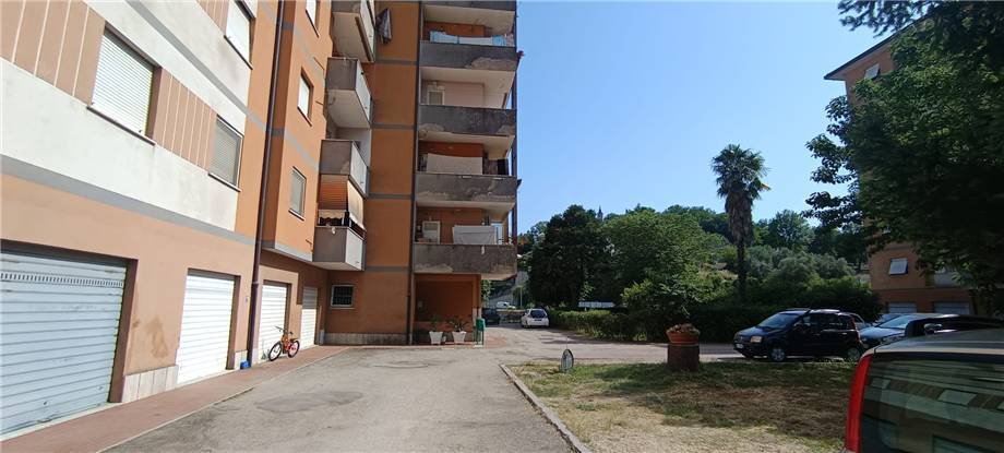 Vendita Appartamento Pontecorvo  #305 n.18