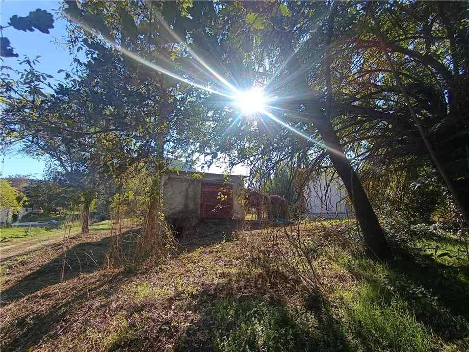 Vendita Villa/Casa singola Pontecorvo  #313 n.19