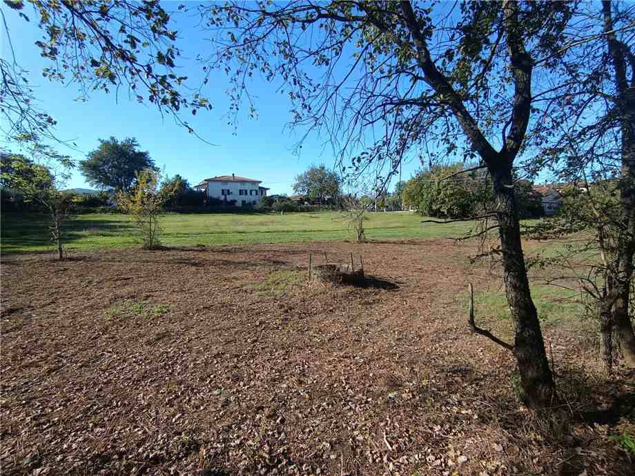 Vendita Villa/Casa singola Pontecorvo  #313 n.20