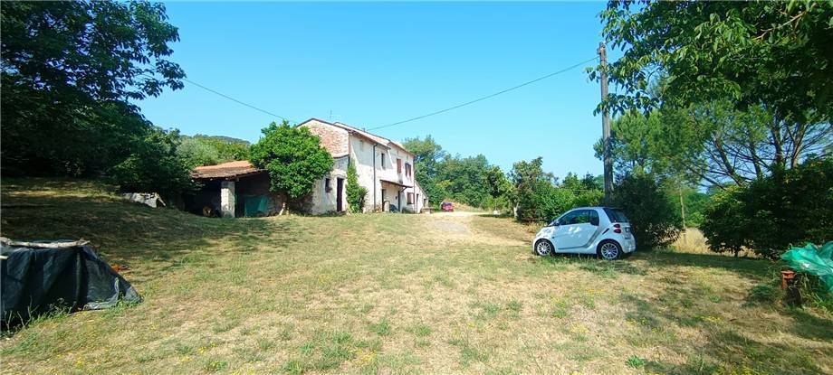 Vendita Villa/Casa singola Pontecorvo  #319 n.17