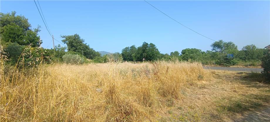 Vendita Villa/Casa singola Pontecorvo  #319 n.19