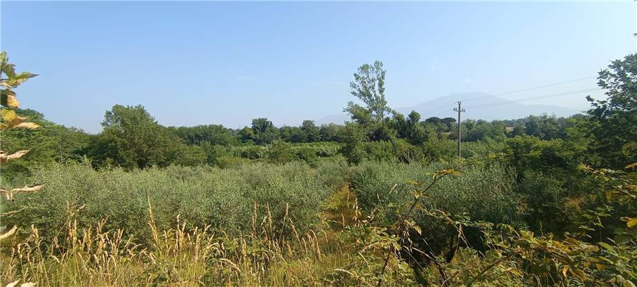 Vendita Villa/Casa singola Pontecorvo  #319 n.20