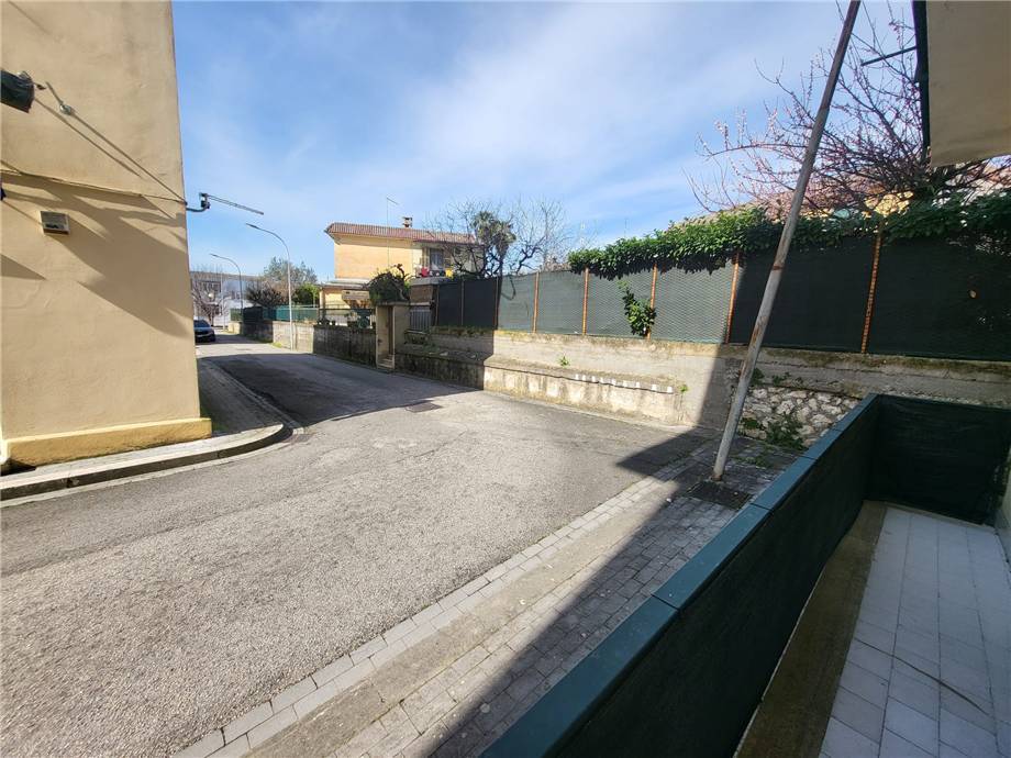 For sale Flat Pontecorvo #323 n.16