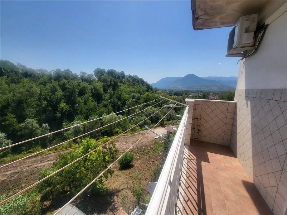 For sale Other Pontecorvo #340 n.17