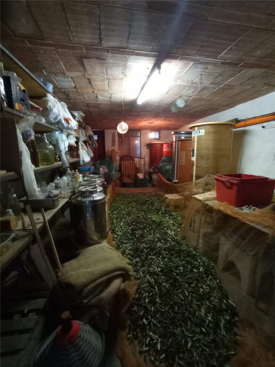 For sale Detached house Taggia  #V52 n.7
