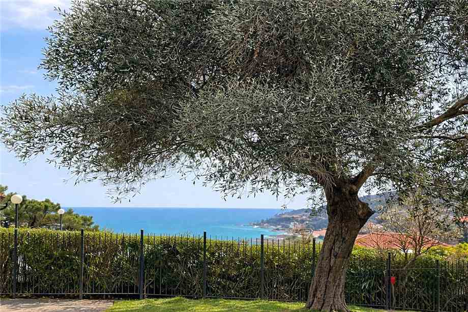 For sale Detached house Sanremo  #V3 RI n.7