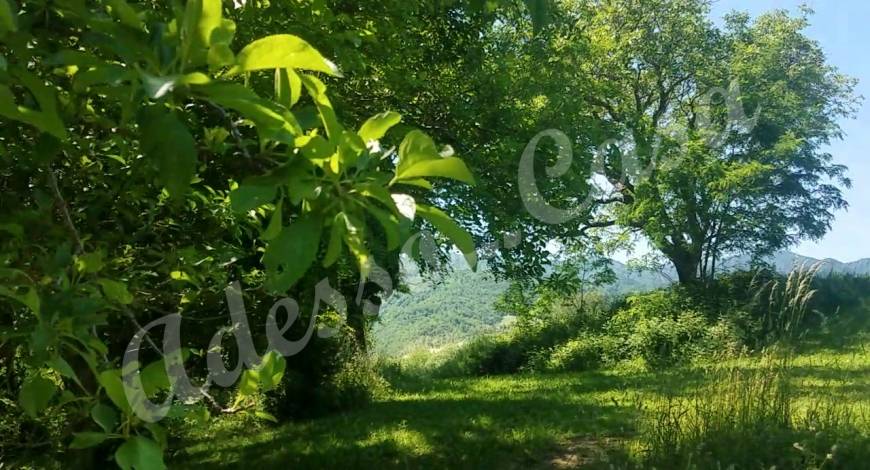 Venta Local commercial Tredozio Tredozio di sopra #PObd n.10
