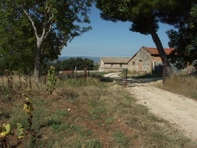 Verkauf Bauernhaus/Gehöft Massa Martana Castelvecchio #VAZ51 n.8