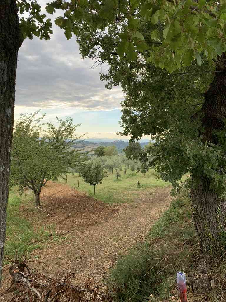 Venta Villa/Casa independiente Gualdo Cattaneo San Terenziano #VVI40 n.12