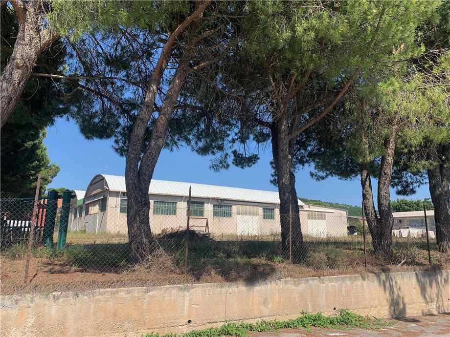 Venta Nave industrial Gualdo Cattaneo San Terenziano #VLC4 n.16