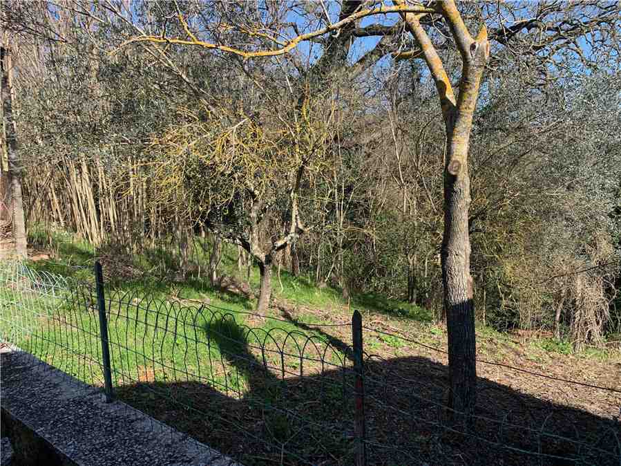Venta Casa adosada Todi CACCIANO #VA67 n.15
