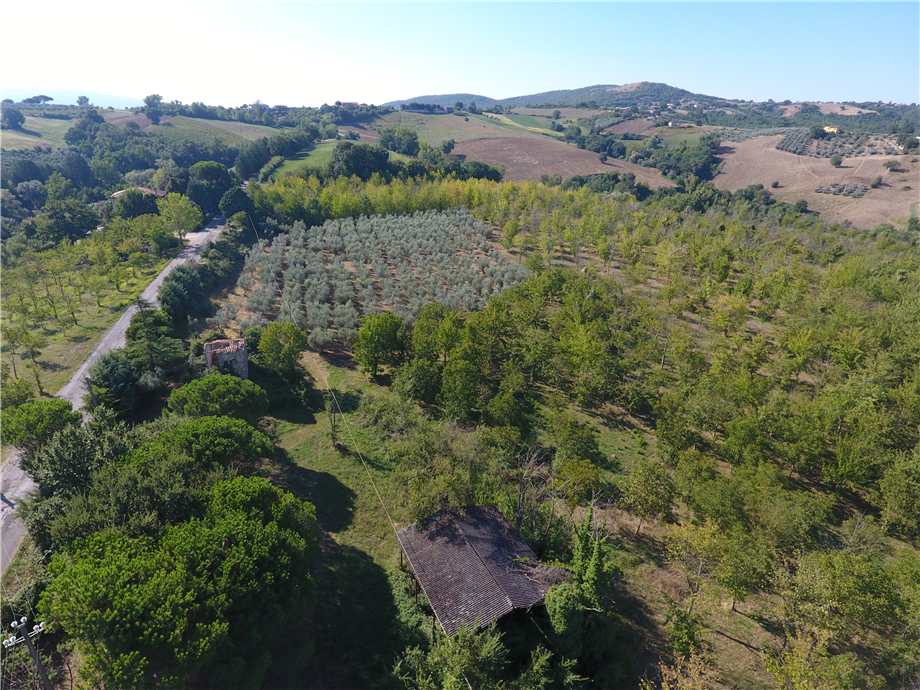 Vendita Rustico/Casale Gualdo Cattaneo Saragano #VCR129 n.11
