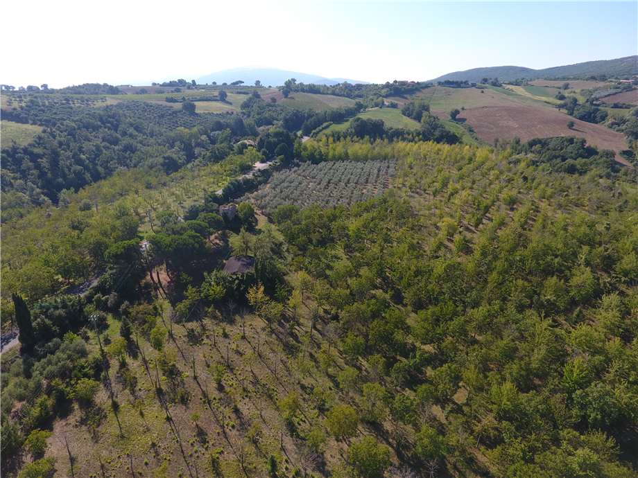 Vendita Rustico/Casale Gualdo Cattaneo Saragano #VCR129 n.13