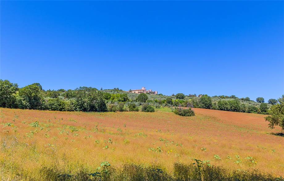 Vendita Rustico/Casale Gualdo Cattaneo Torri #VCR136 n.30