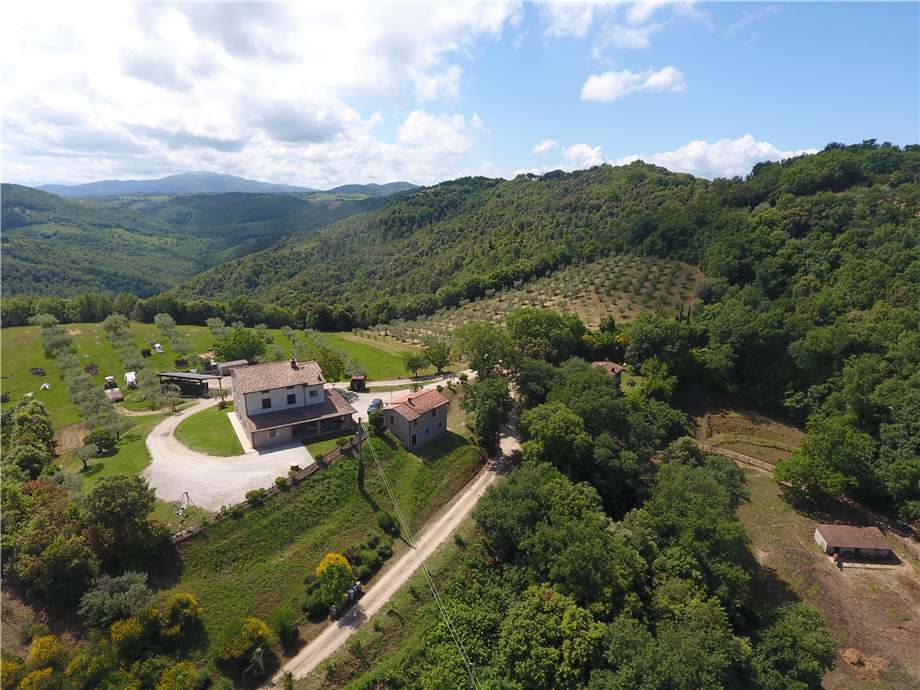 Vendita Villa/Casa singola Collazzone  #VVI70 n.35