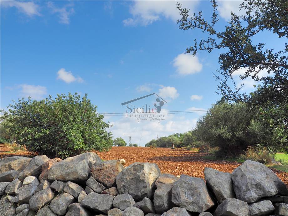 Venta Terreno agrícola Scicli #11 n.6