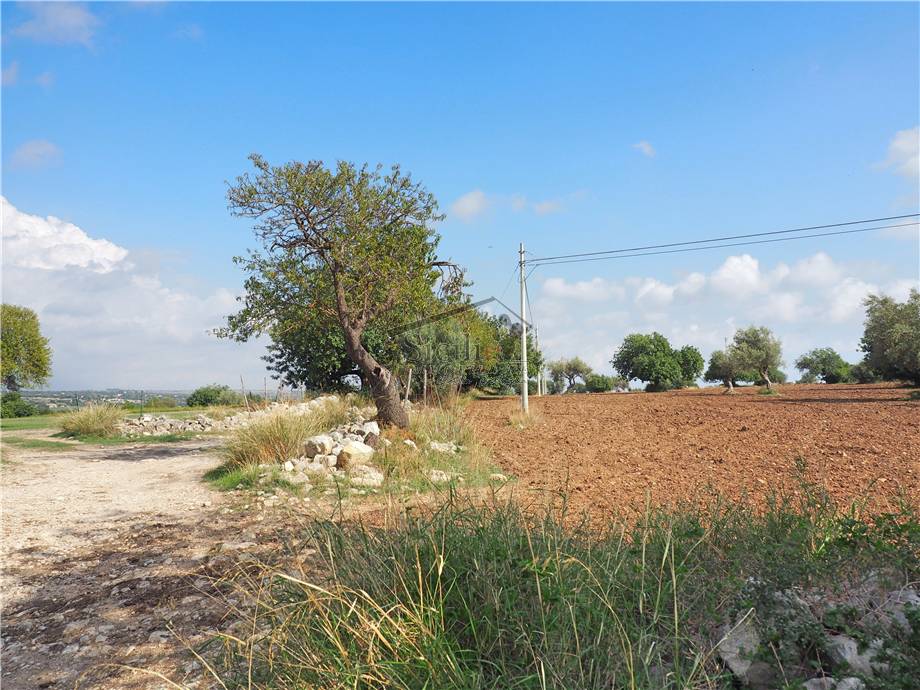 Vendita Terreno agricolo Scicli  #11 n.7