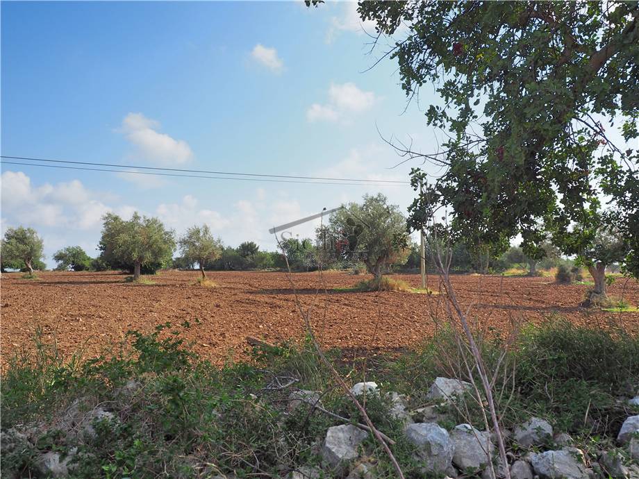 Venta Terreno agrícola Scicli #11 n.8