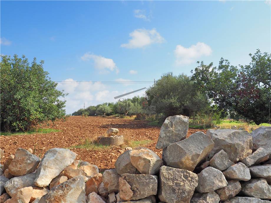 Venta Terreno agrícola Scicli #11 n.9