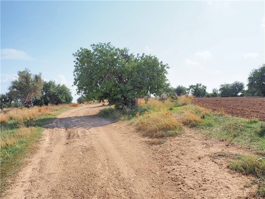Vendita Terreno agricolo Scicli  #11 n.10