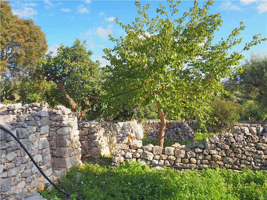 For sale Country house Scicli  #17 n.19