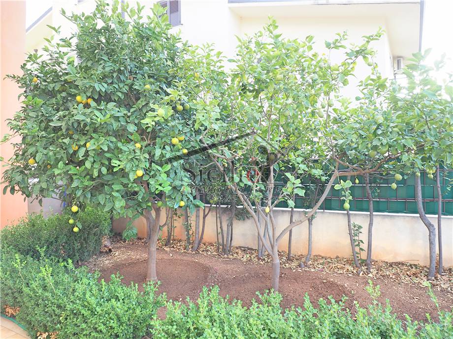 For sale Terraced house Scicli Iungi #116 n.19