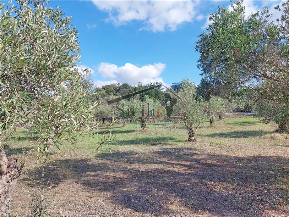 Venta Rústico/Casa de campo Ragusa  #159 n.16