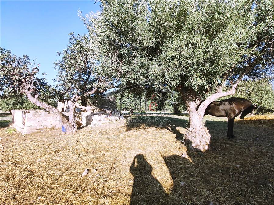 Venta Casa unifamiliar Scicli #214 n.16