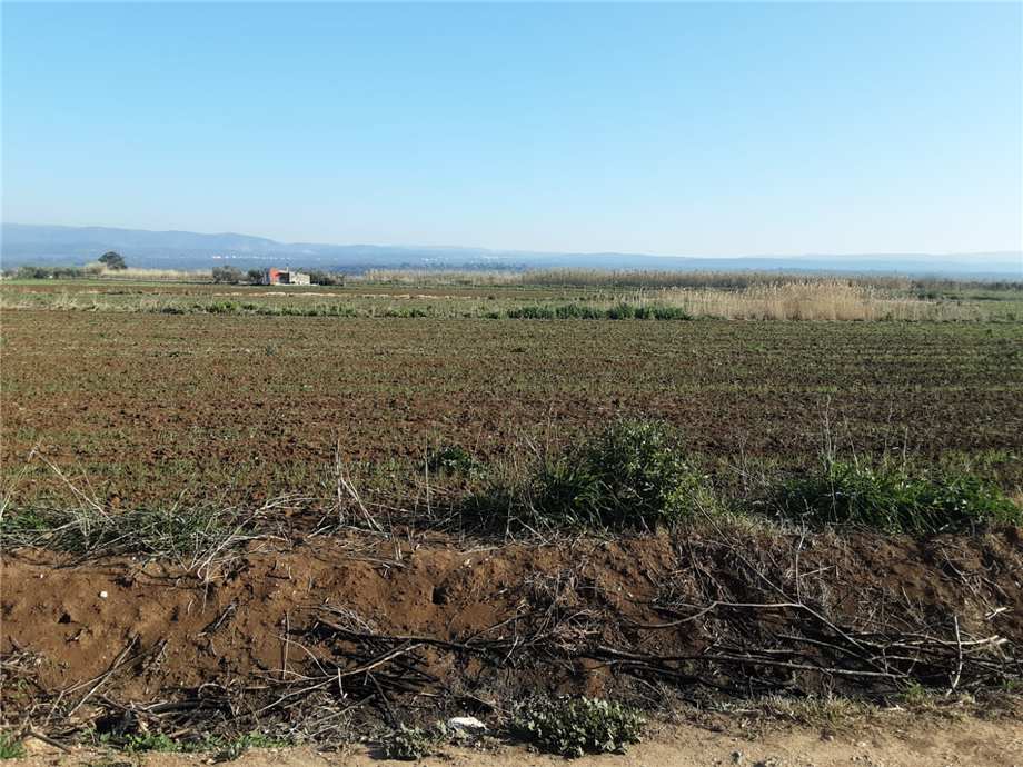 Vendita Terreno San Nicandro Garganico LAURO #48 n.6