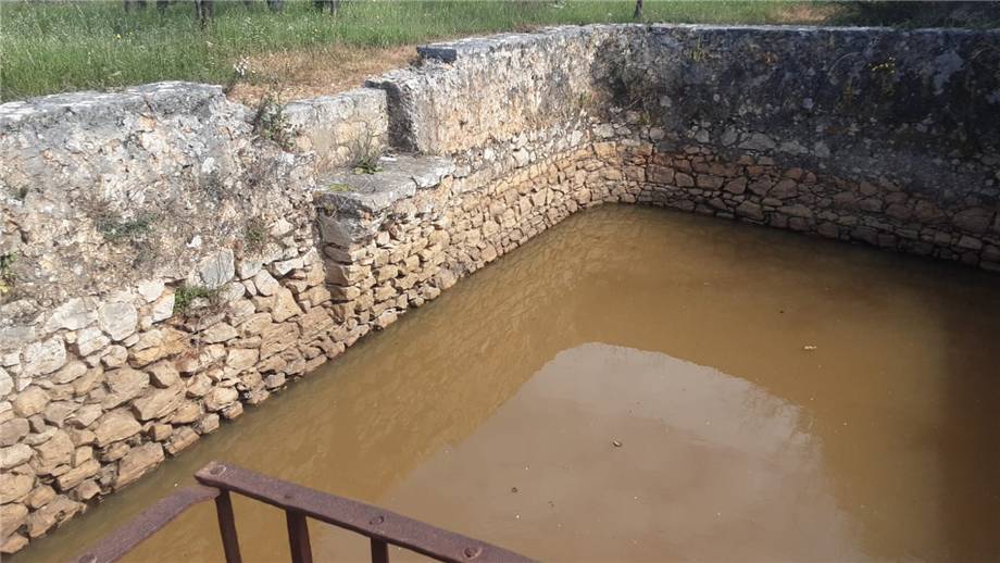 Vendita Terreno San Nicandro Garganico LAURO #55 n.7