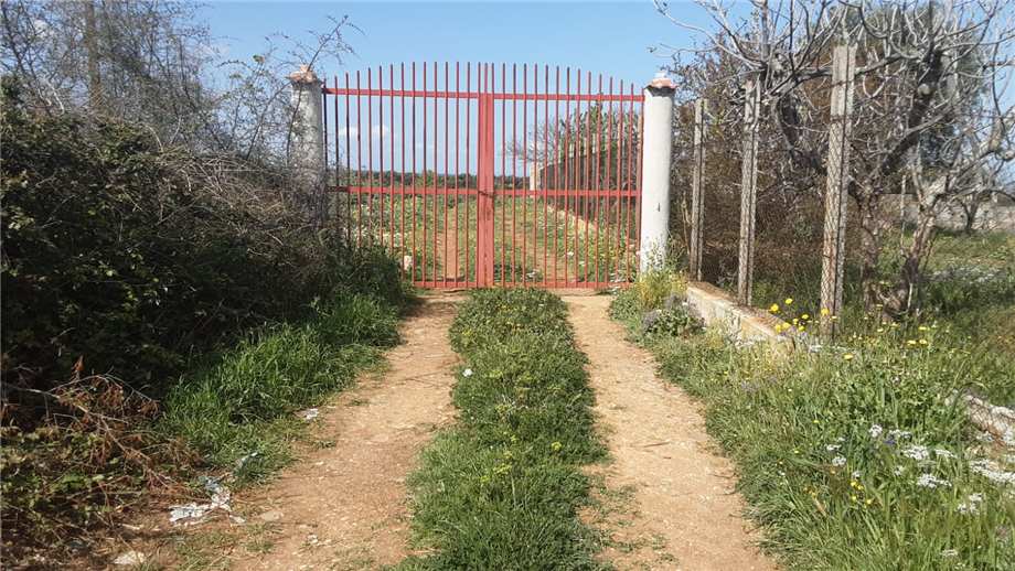 Vendita Terreno San Nicandro Garganico LAURO #55 n.8