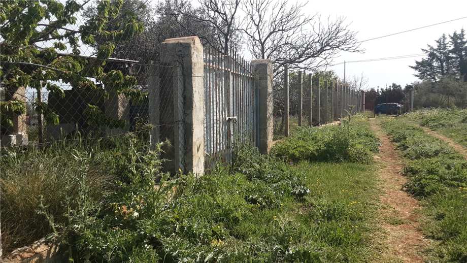 Vendita Terreno San Nicandro Garganico LAURO #55 n.10
