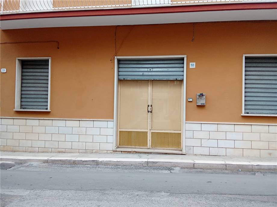 Vendita Casa indipendente San Nicandro Garganico  #160 n.8