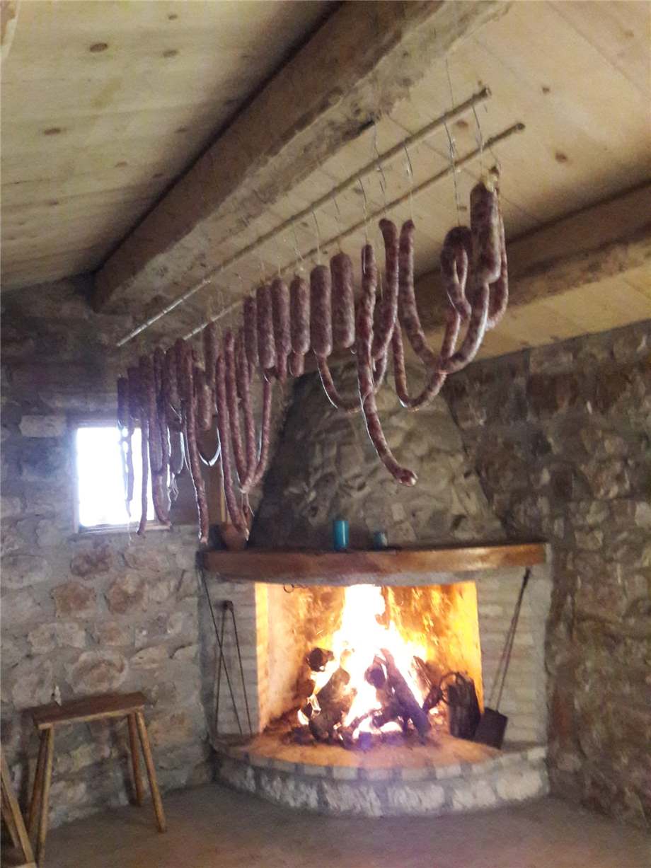 Venta Terreno San Nicandro Garganico  #163 n.6