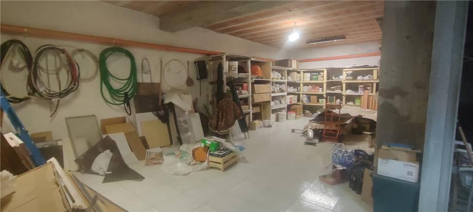Vendita Appartamento San Nicandro Garganico #181 n.10