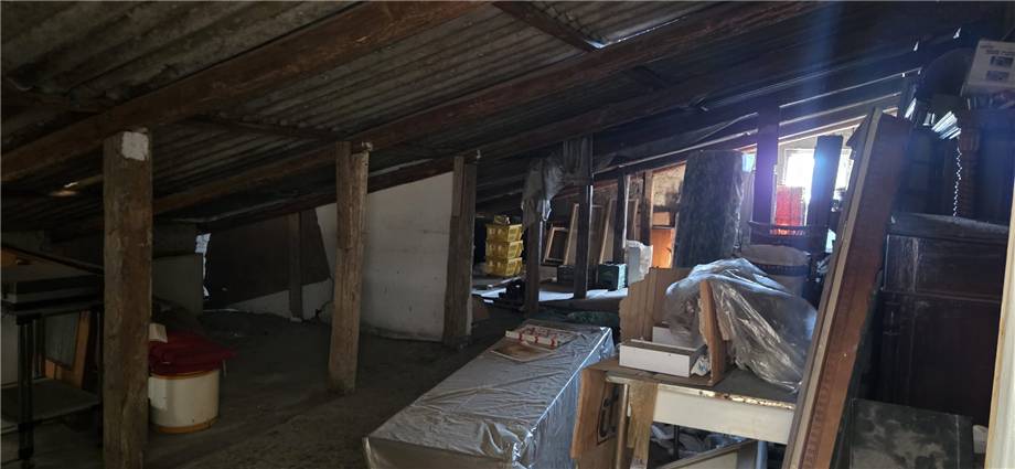 Vendita Appartamento San Nicandro Garganico #209 n.8