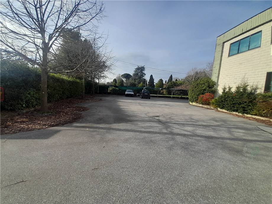 Vendita Capannone Capannori  #156 n.6