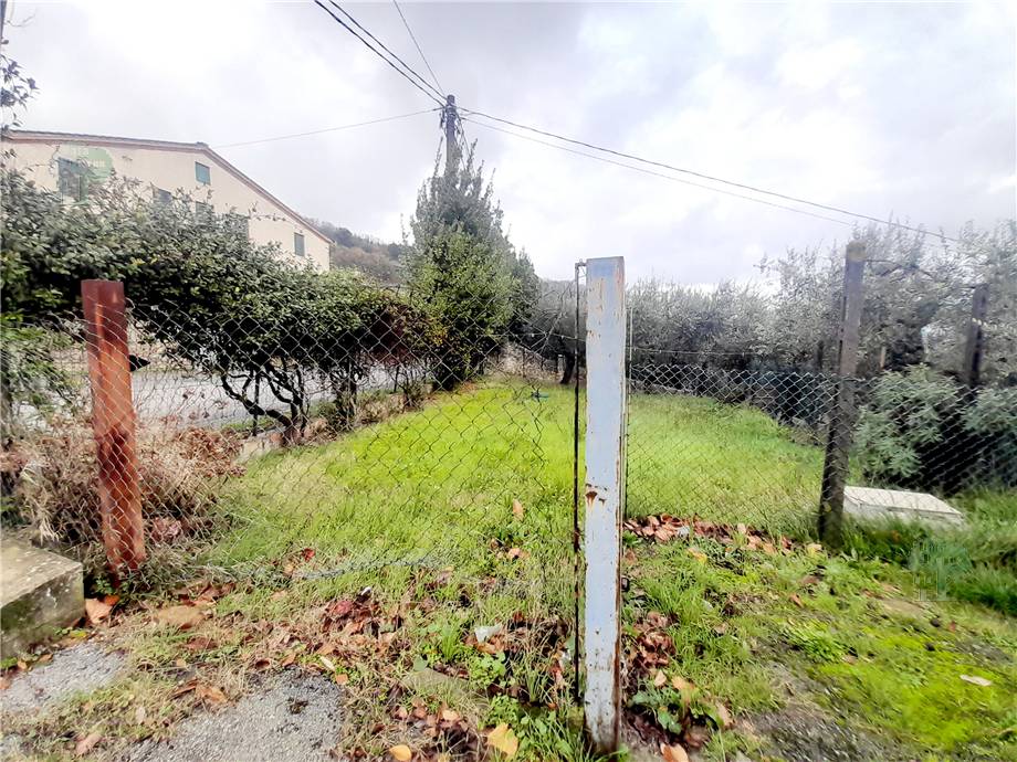 Venta Terratetto/Terracielo Capannori #177 n.9