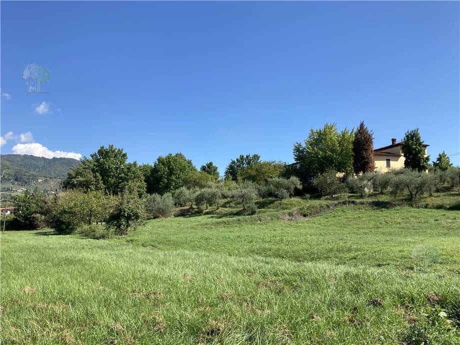 Vendita Casale/Cascina/Casa colonica Capannori  #184 n.6