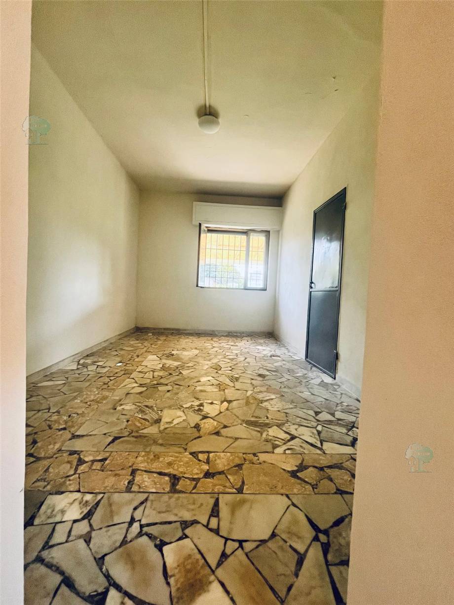 Alquiler Local comercial Capannori  #225 n.6