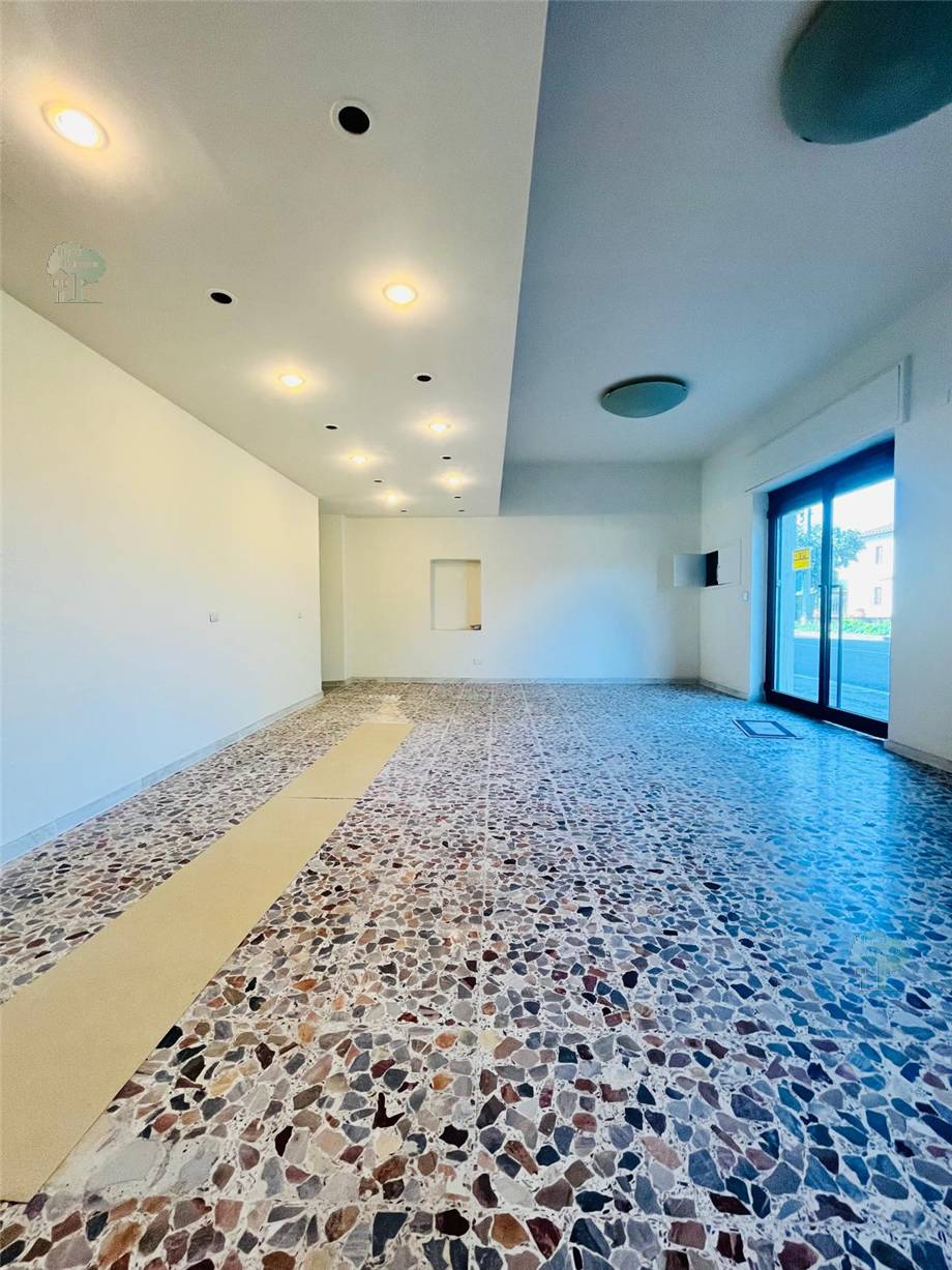 Alquiler Local comercial Capannori  #225 n.7