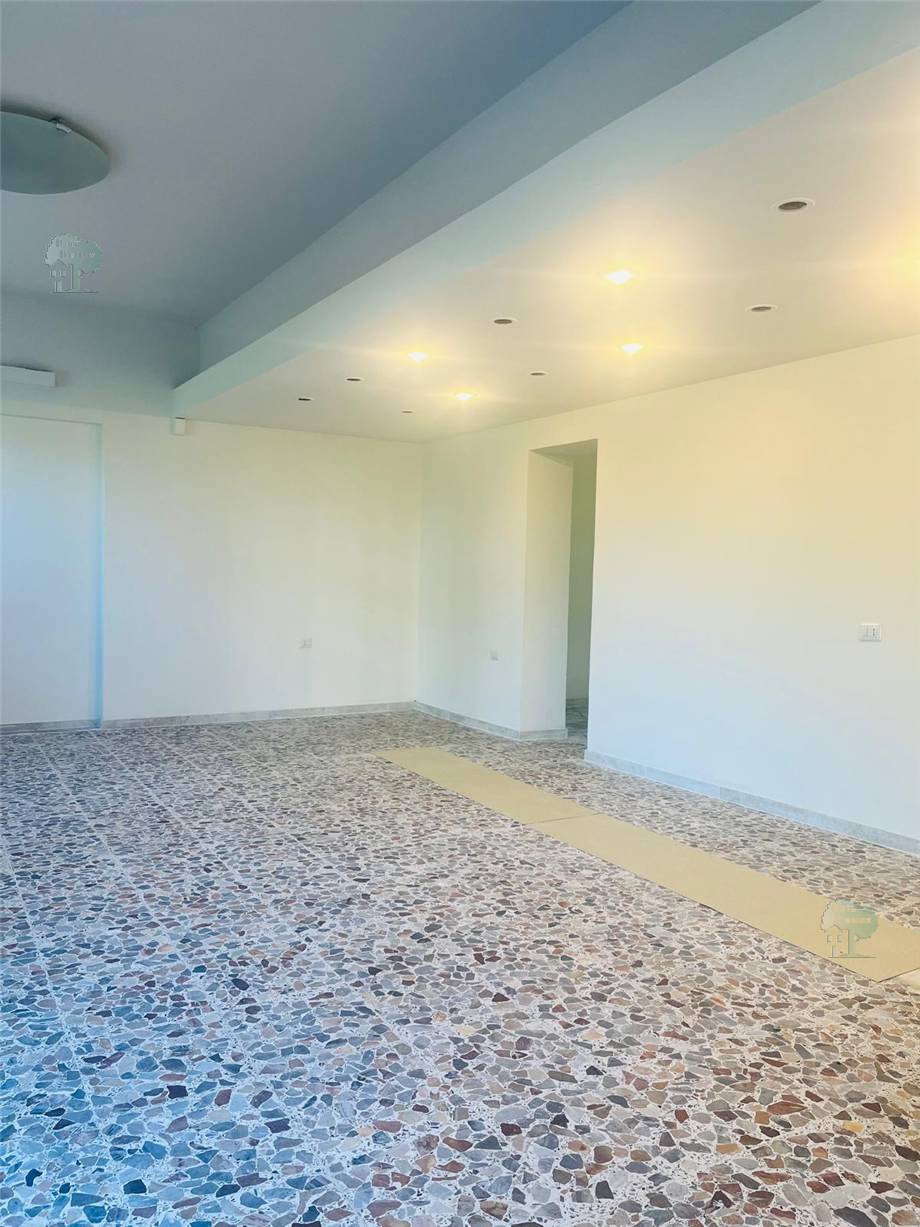 Alquiler Local comercial Capannori  #225 n.9