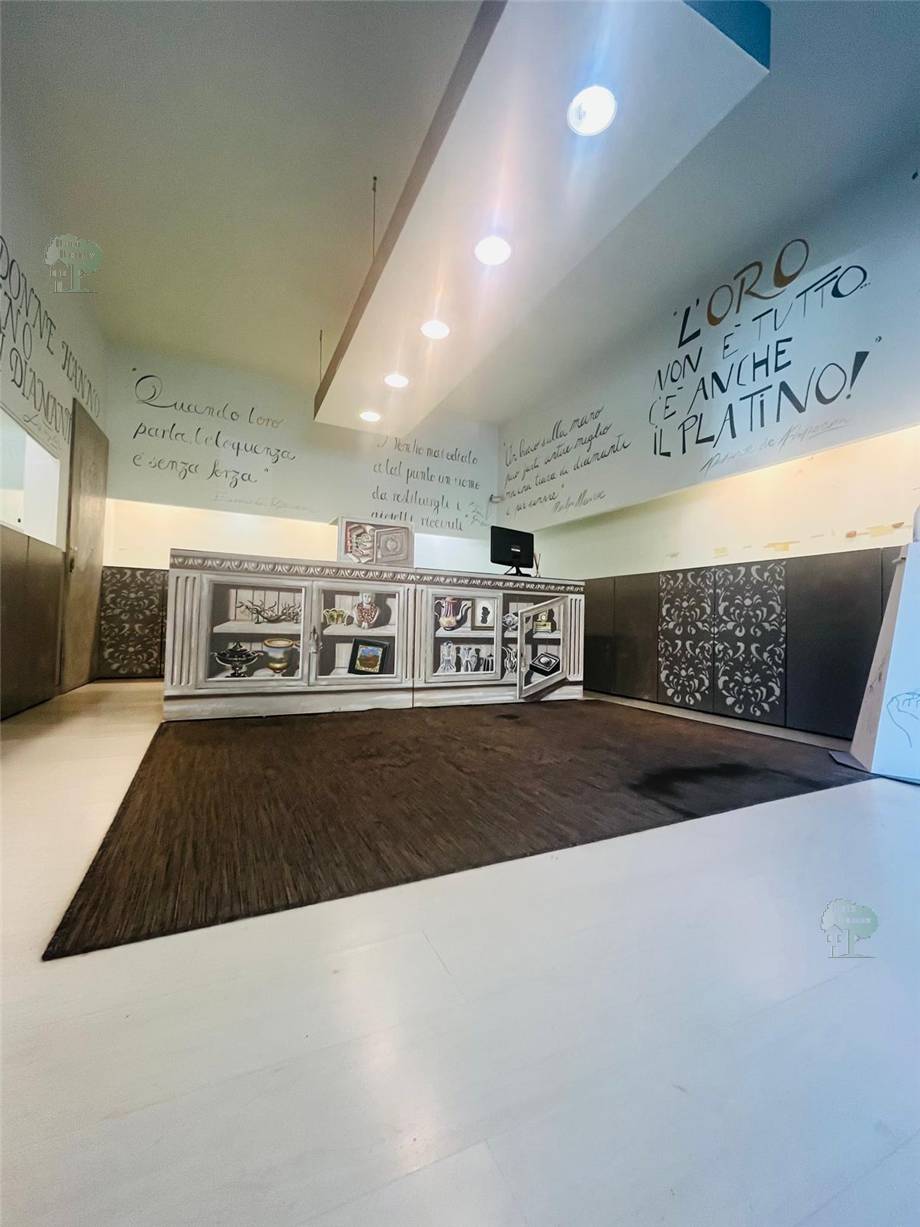 Alquiler Local comercial Lucca  #226 n.10