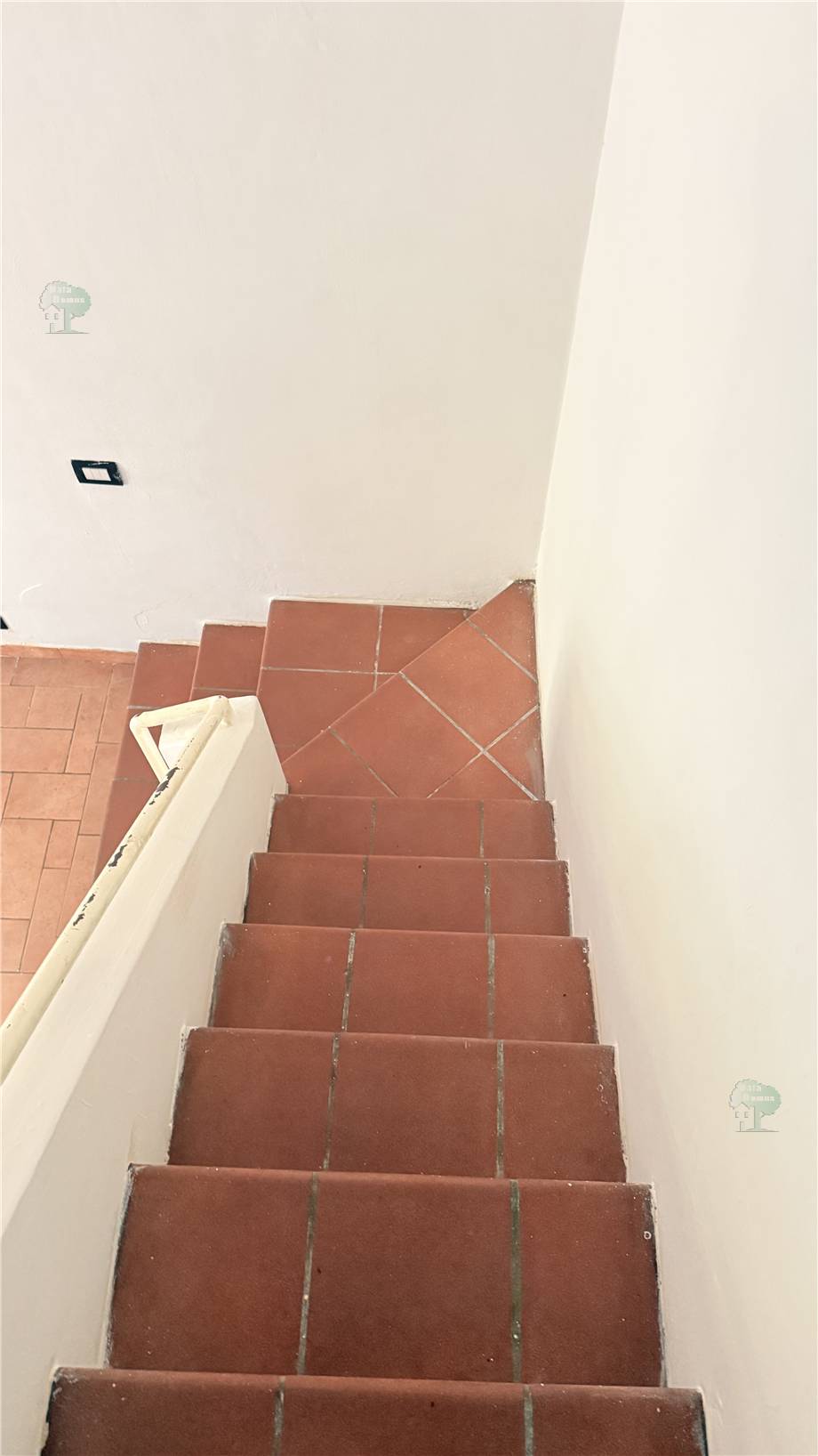 Venta Terratetto/Terracielo Lucca  #232 n.7