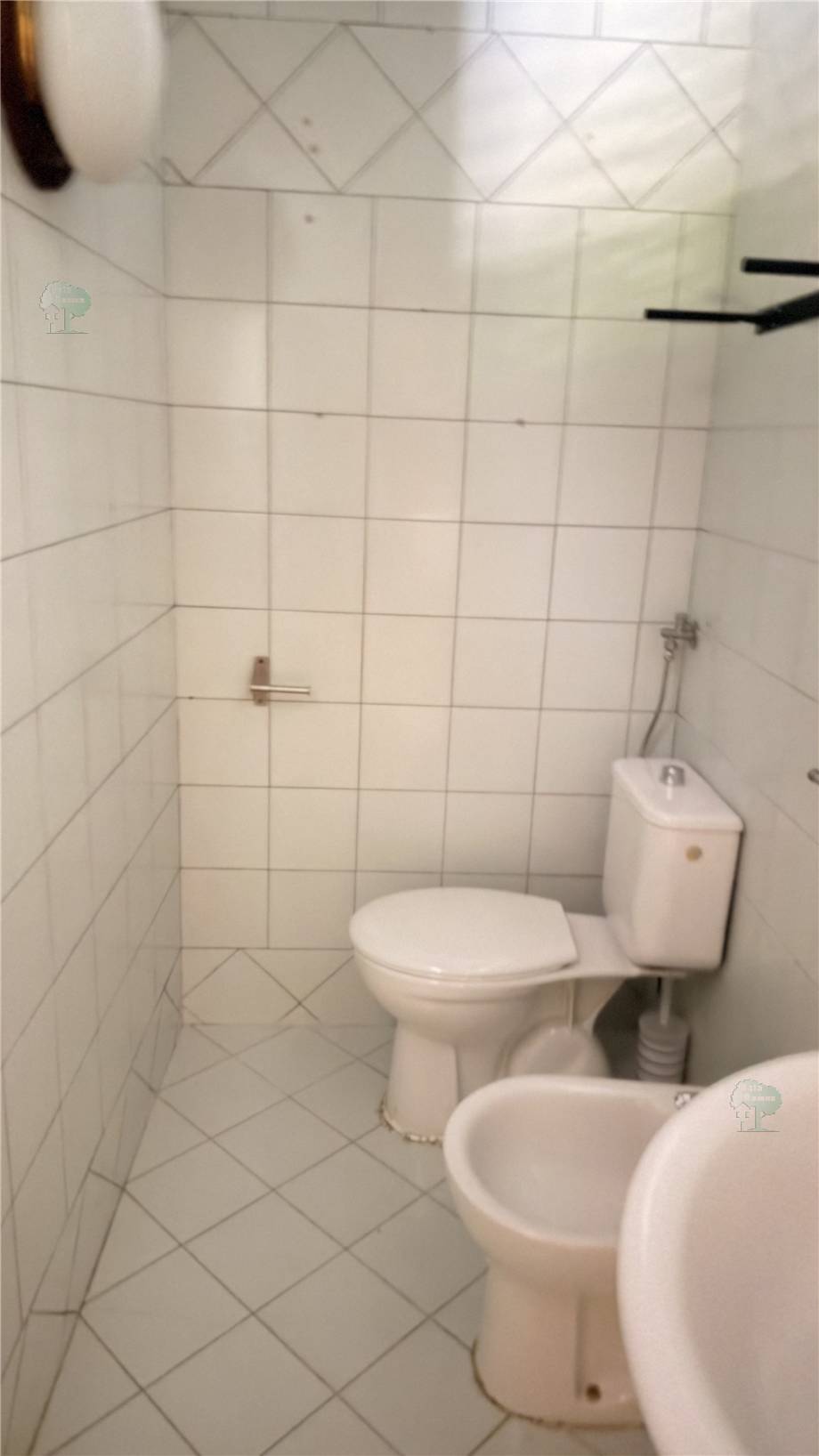Venta Terratetto/Terracielo Lucca  #232 n.10