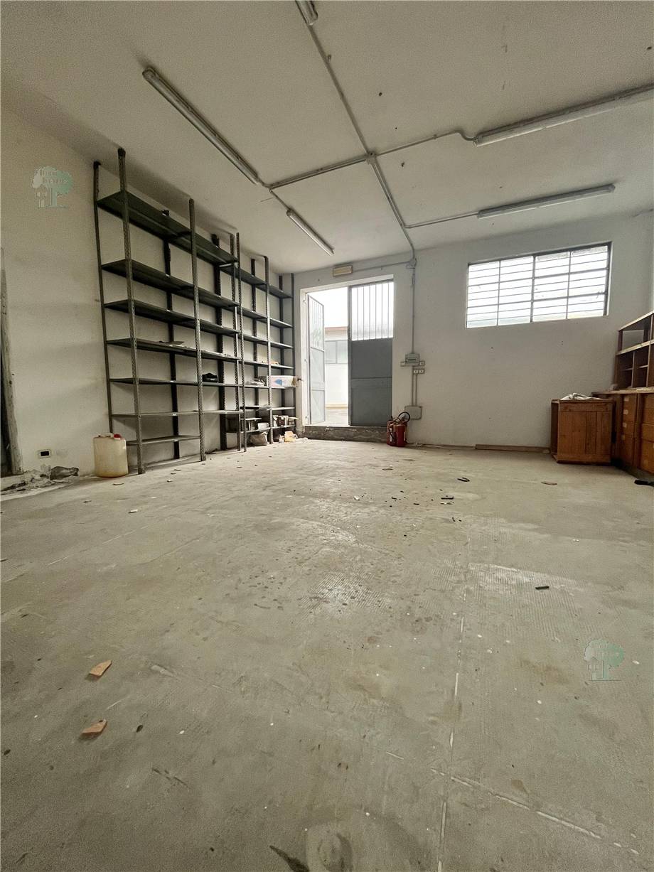 For sale Warehouse Capannori  #240 n.9