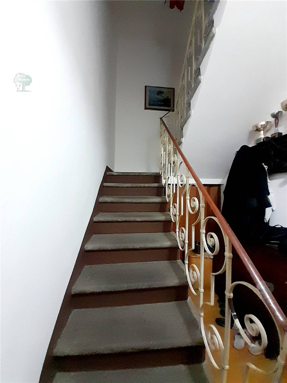 For sale Detached house Lucca Nave #241 n.8
