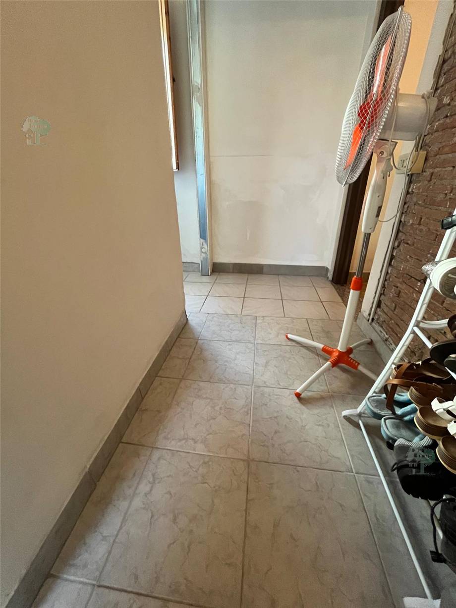 Venta Terratetto/Terracielo Altopascio Marginone #247 n.8