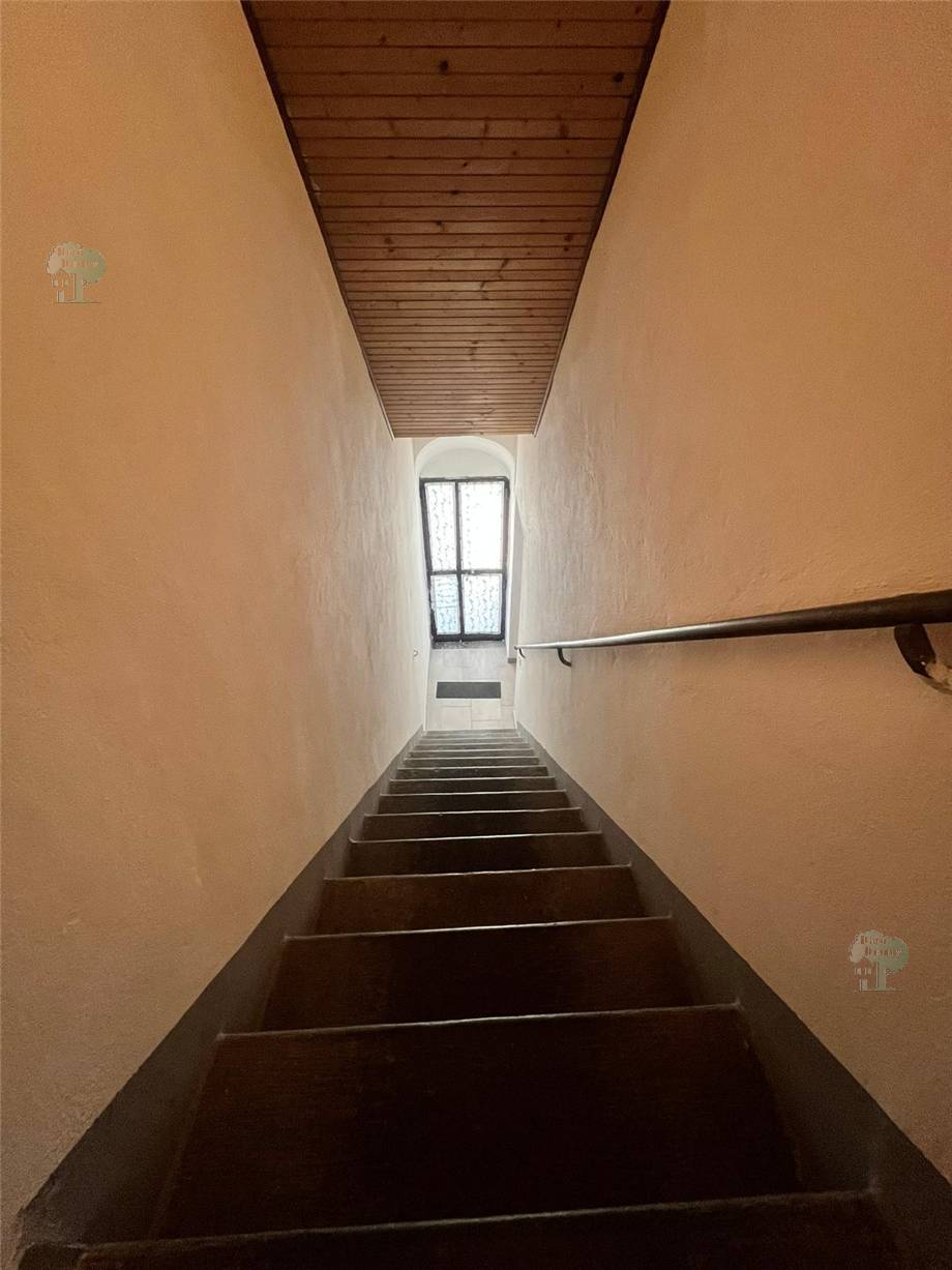 Venta Terratetto/Terracielo Altopascio Marginone #247 n.9
